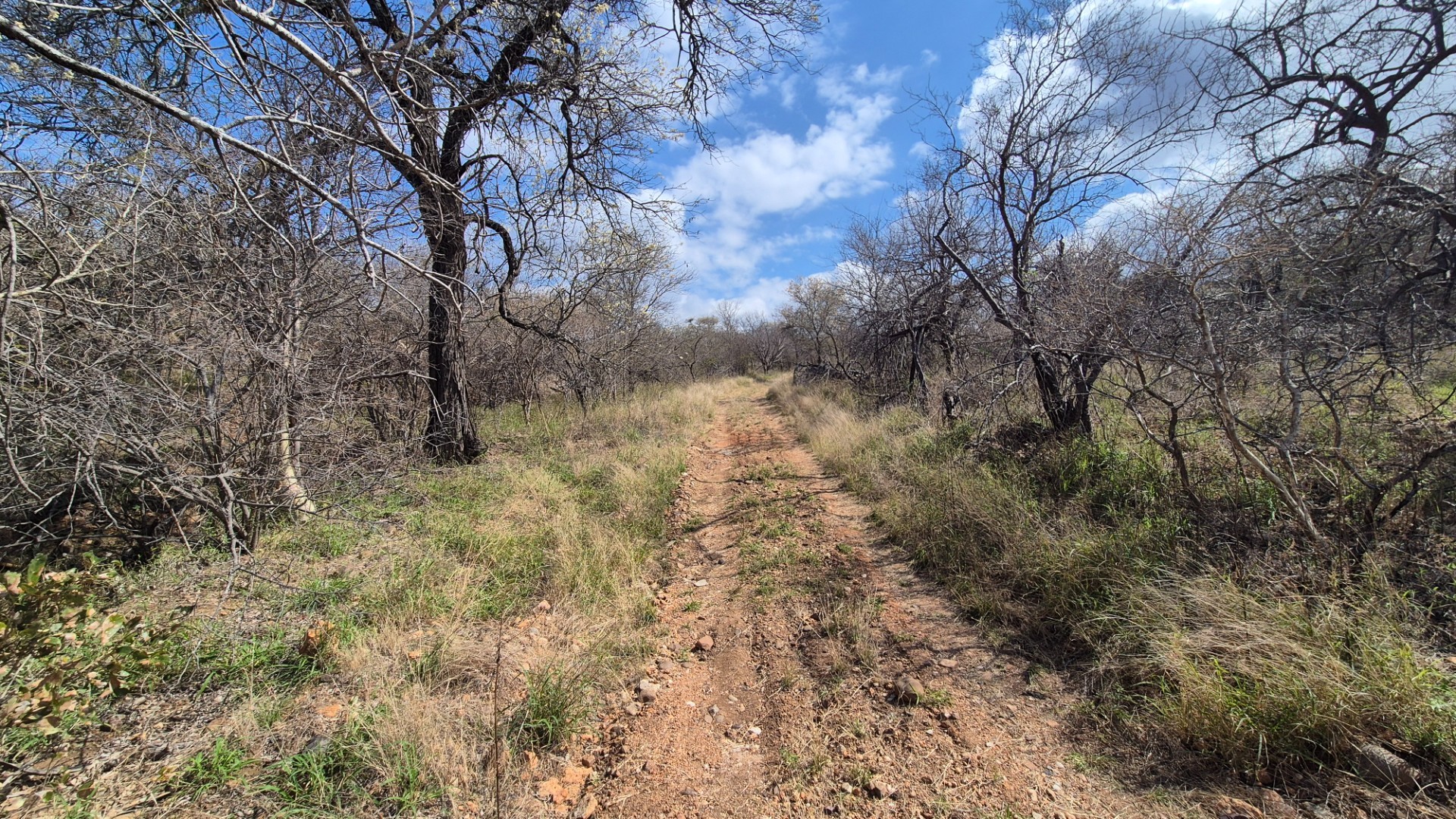 Vacant Land for sale in Elephant Rock Eco Estate, Hoedspruit, 15728 m²