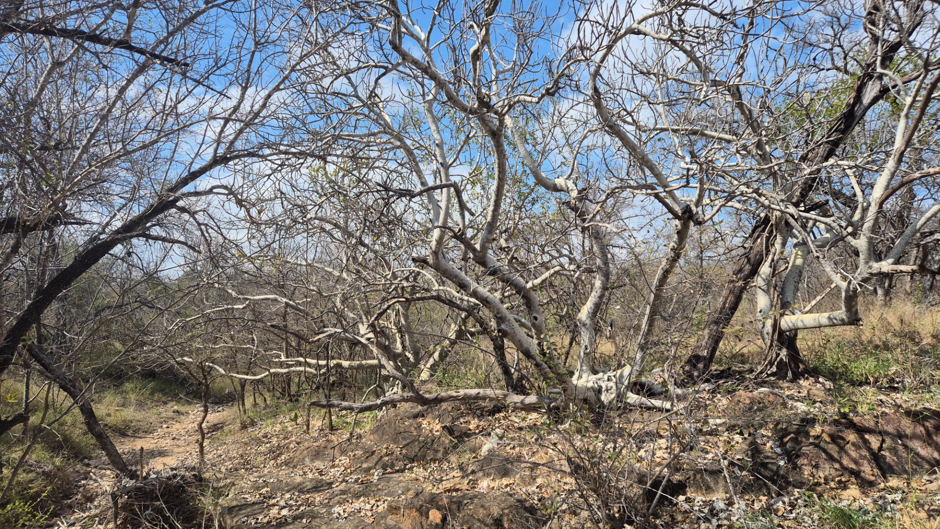Vacant Land for sale in Mica, Hoedspruit, 494995 m²