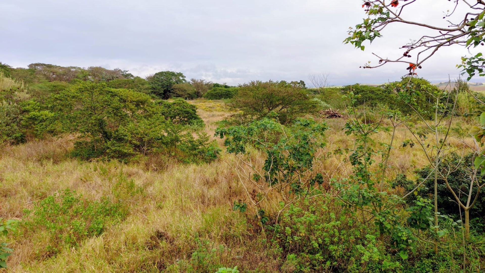 Vacant Land for sale in Zimbali Estate, Ballito, KwaZulu Natal, 1569 ZIMBALI DRIVE, Zimbali Estate, Ballito, KwaZulu Natal, 14400 m²
