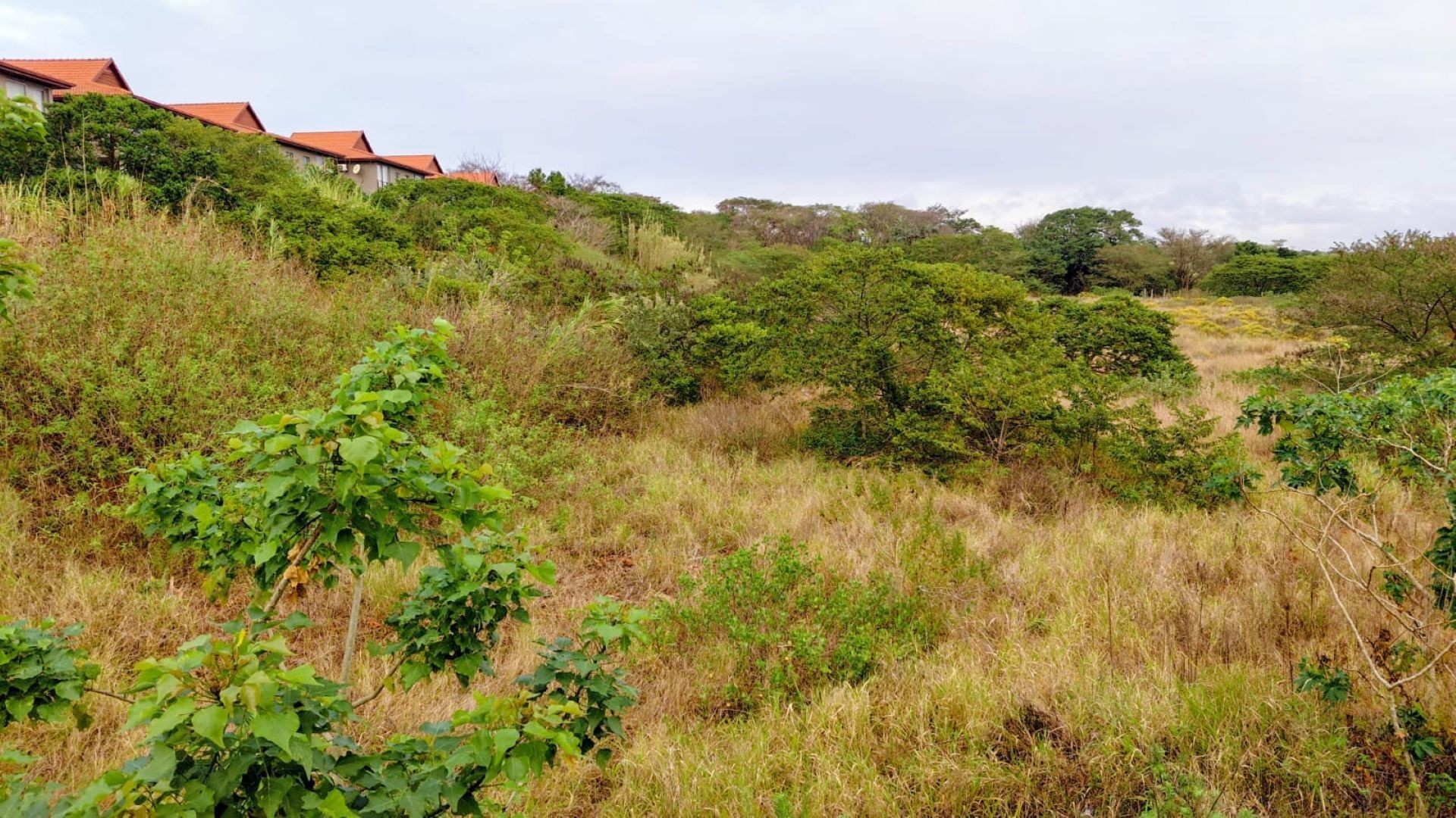 Vacant Land for sale in Zimbali Estate, Ballito, KwaZulu Natal, 1569 ZIMBALI DRIVE, Zimbali Estate, Ballito, KwaZulu Natal, 14400 m²