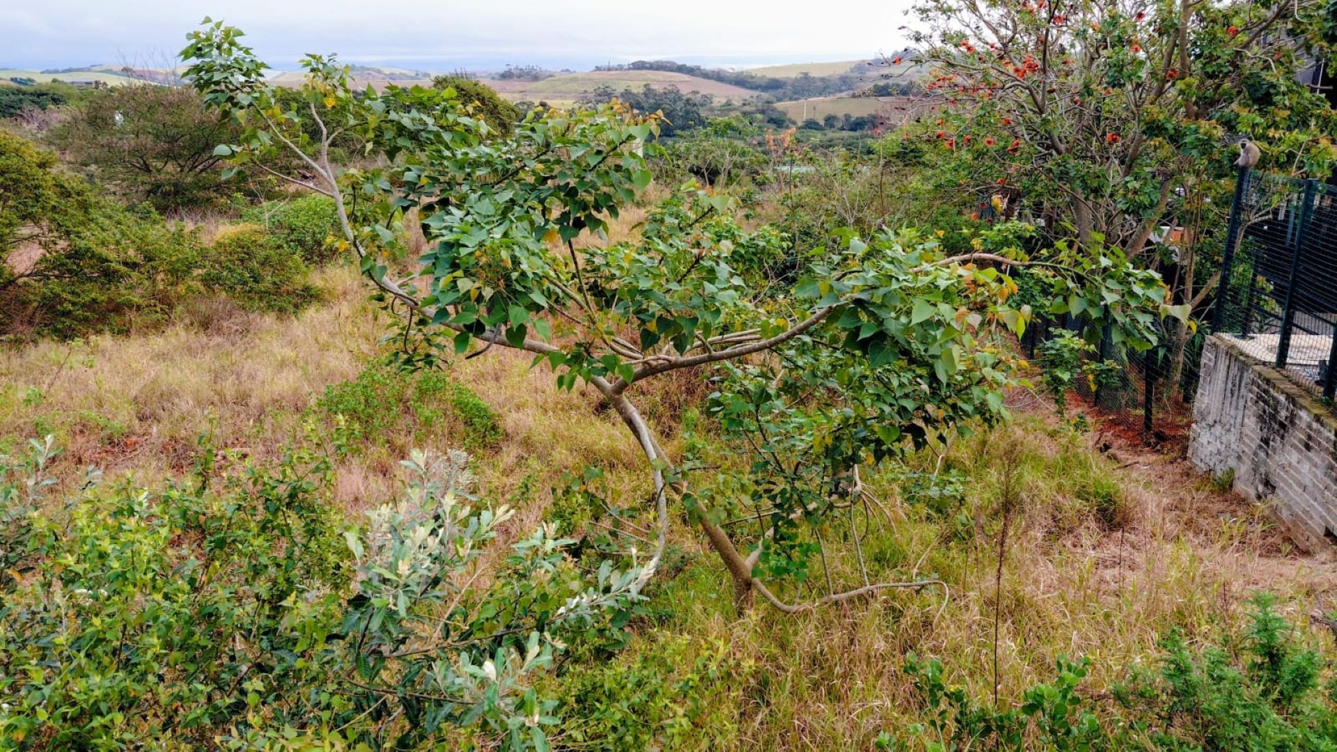 Vacant Land for sale in Zimbali Estate, Ballito, KwaZulu Natal, 1569 ZIMBALI DRIVE, Zimbali Estate, Ballito, KwaZulu Natal, 14400 m²