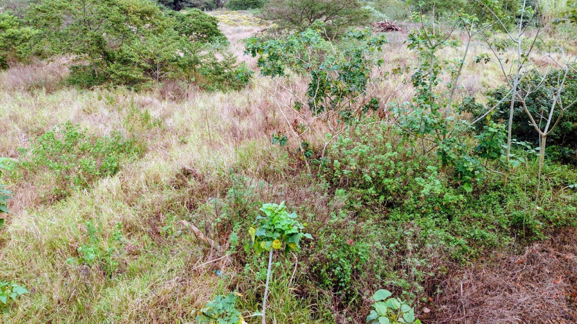 Vacant Land for sale in Zimbali Estate, Ballito, KwaZulu Natal, 1569 ZIMBALI DRIVE, Zimbali Estate, Ballito, KwaZulu Natal, 14400 m²