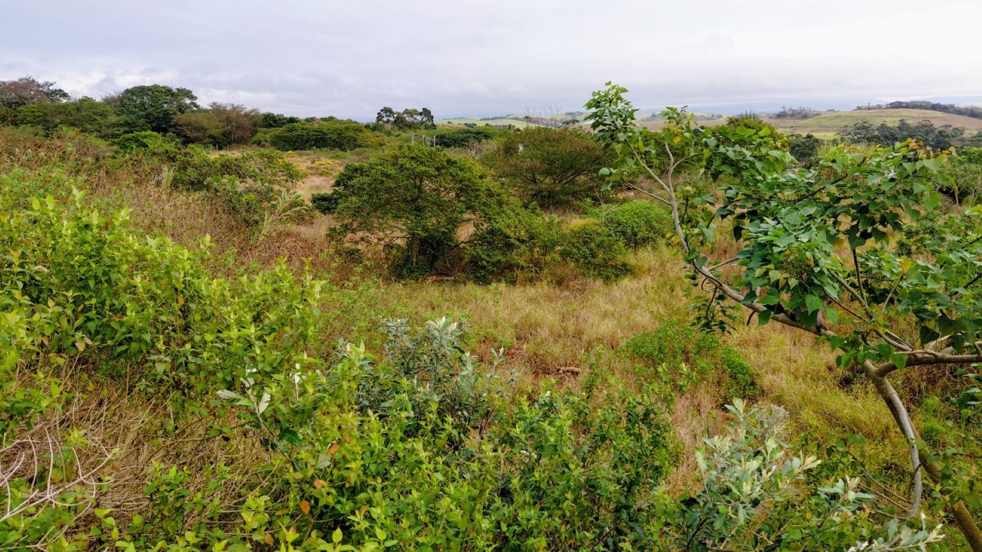 Vacant Land for sale in Zimbali Estate, Ballito, KwaZulu Natal, 1569 ZIMBALI DRIVE, Zimbali Estate, Ballito, KwaZulu Natal, 14400 m²