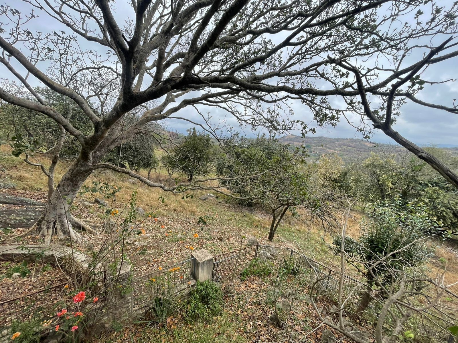 House for rent in Bundu Wildlife Estate, White River