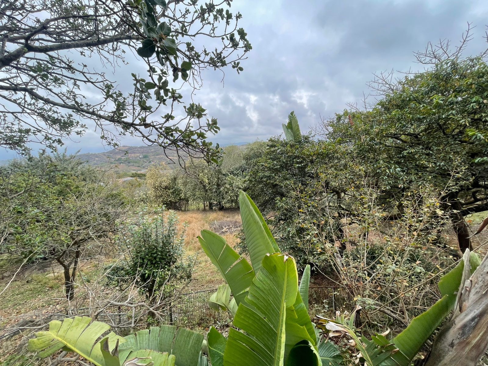 House for rent in Bundu Wildlife Estate, White River