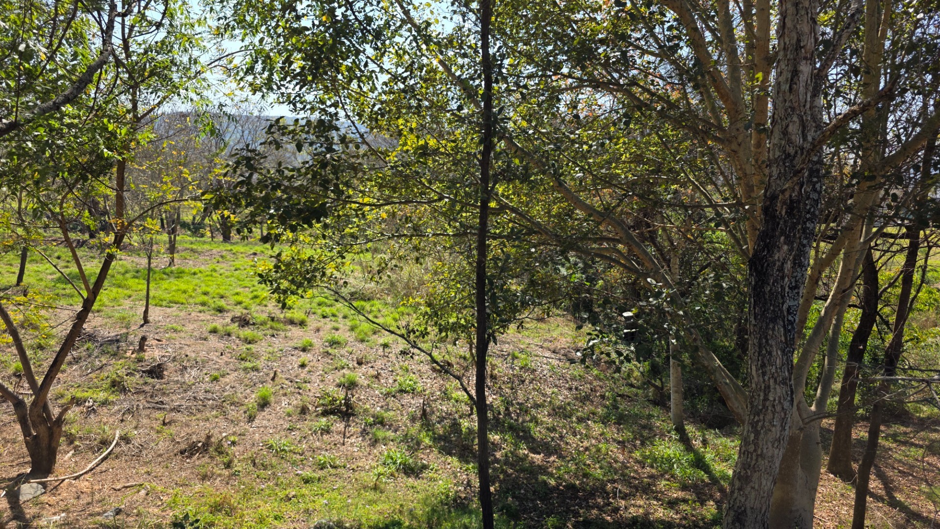 Vacant Land for sale in Hazyview, 1636 m²