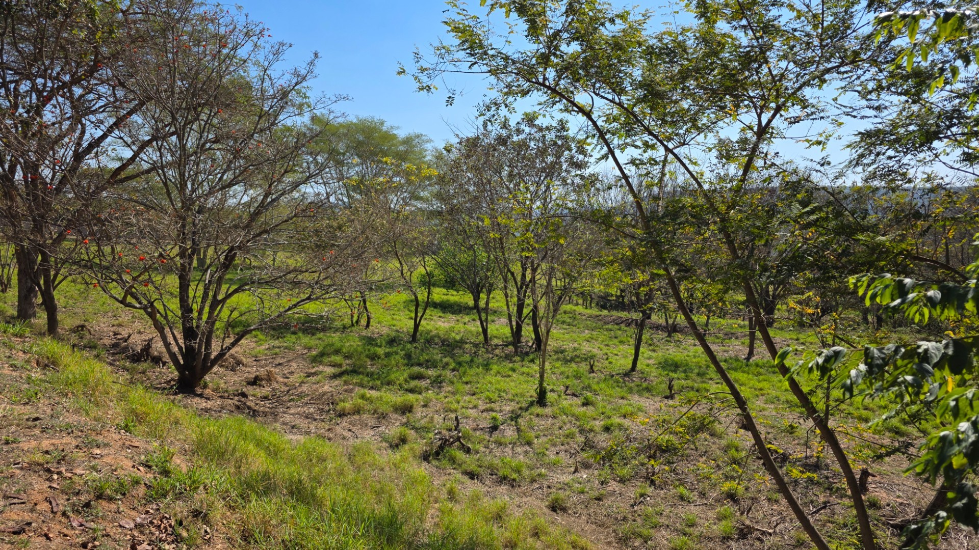 Vacant Land for sale in Hazyview, 1636 m²