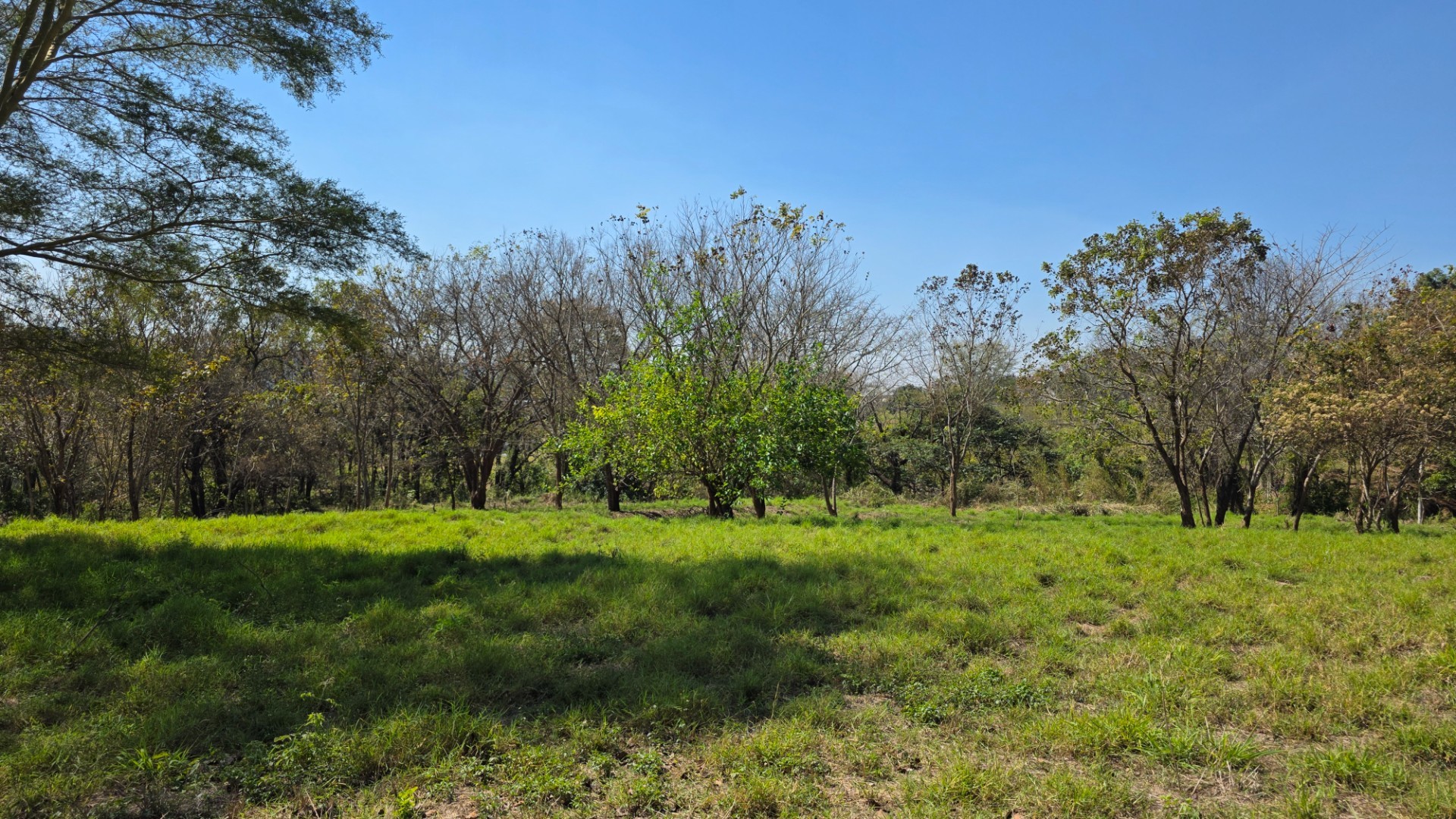 Vacant Land for sale in Hazyview, 1636 m²