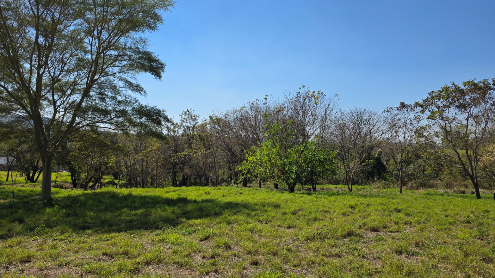 Vacant Land for sale in Hazyview, 1636 m²