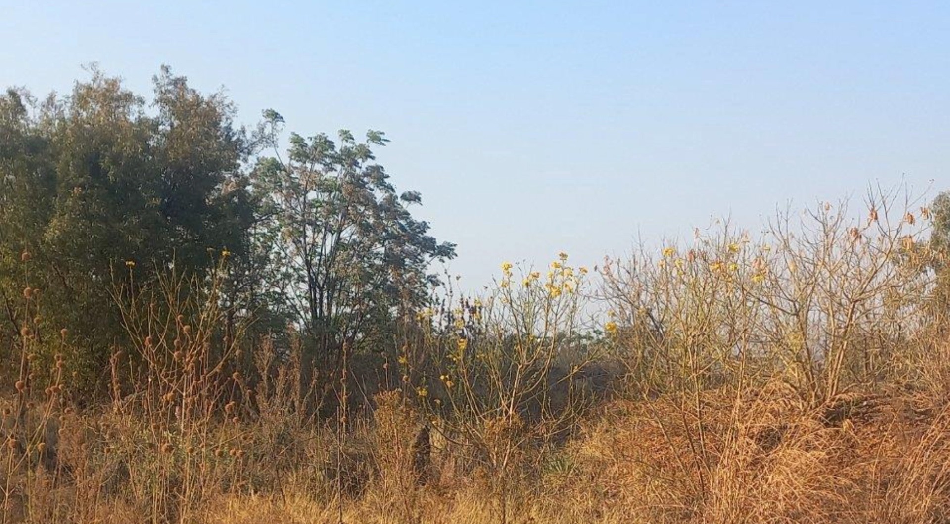 Vacant Land for sale in Waterkloof Ridge, Pretoria, 1689 m²