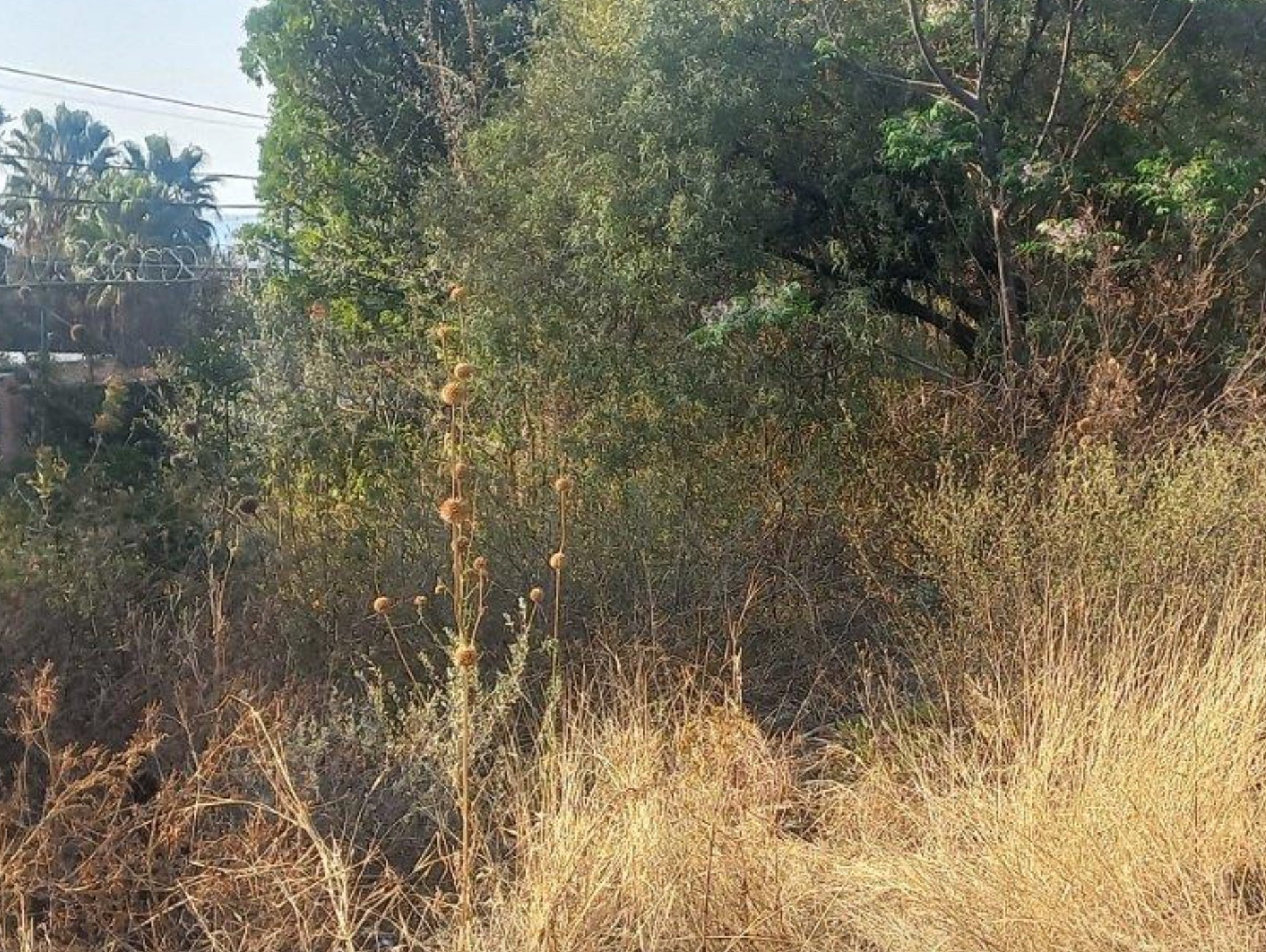 Vacant Land for sale in Waterkloof Ridge, Pretoria, 1689 m²