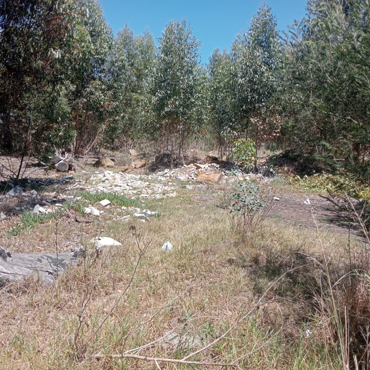 Vacant Land for sale in Club View, King Williams Town, 126 Joubert Street, Club View, King Williams Town, Eastern Cape, 685 m²