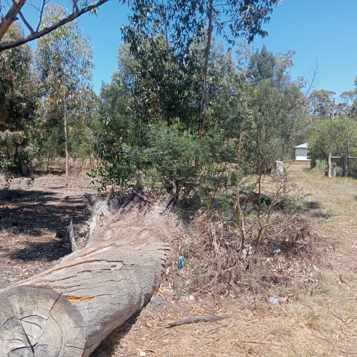 Vacant Land for sale in Club View, King Williams Town, 126 Joubert Street, Club View, King Williams Town, Eastern Cape, 685 m²