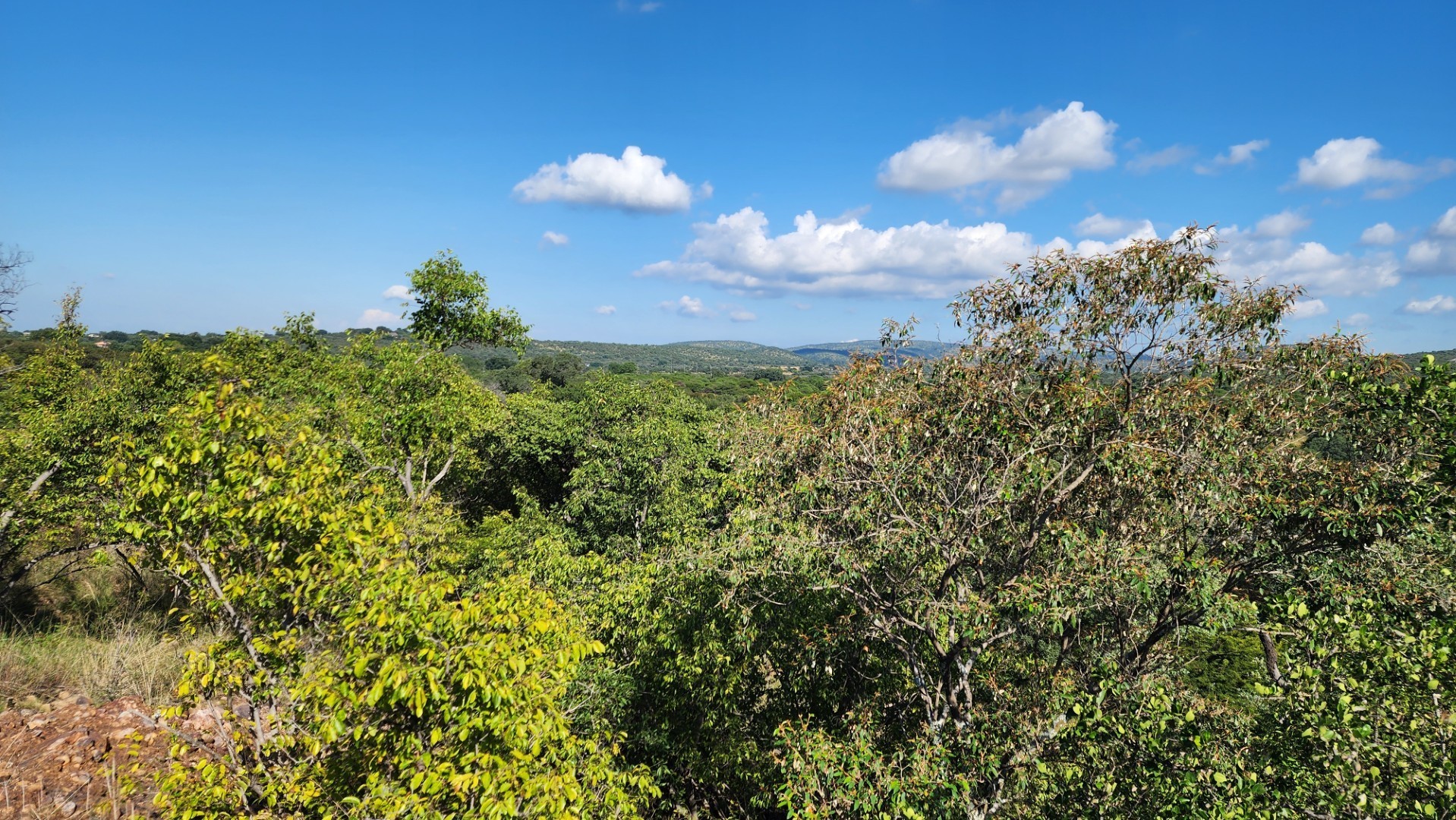 Vacant Land for sale in Intaba-Indle Wilderness Estate, Bela Bela, 11540 m²