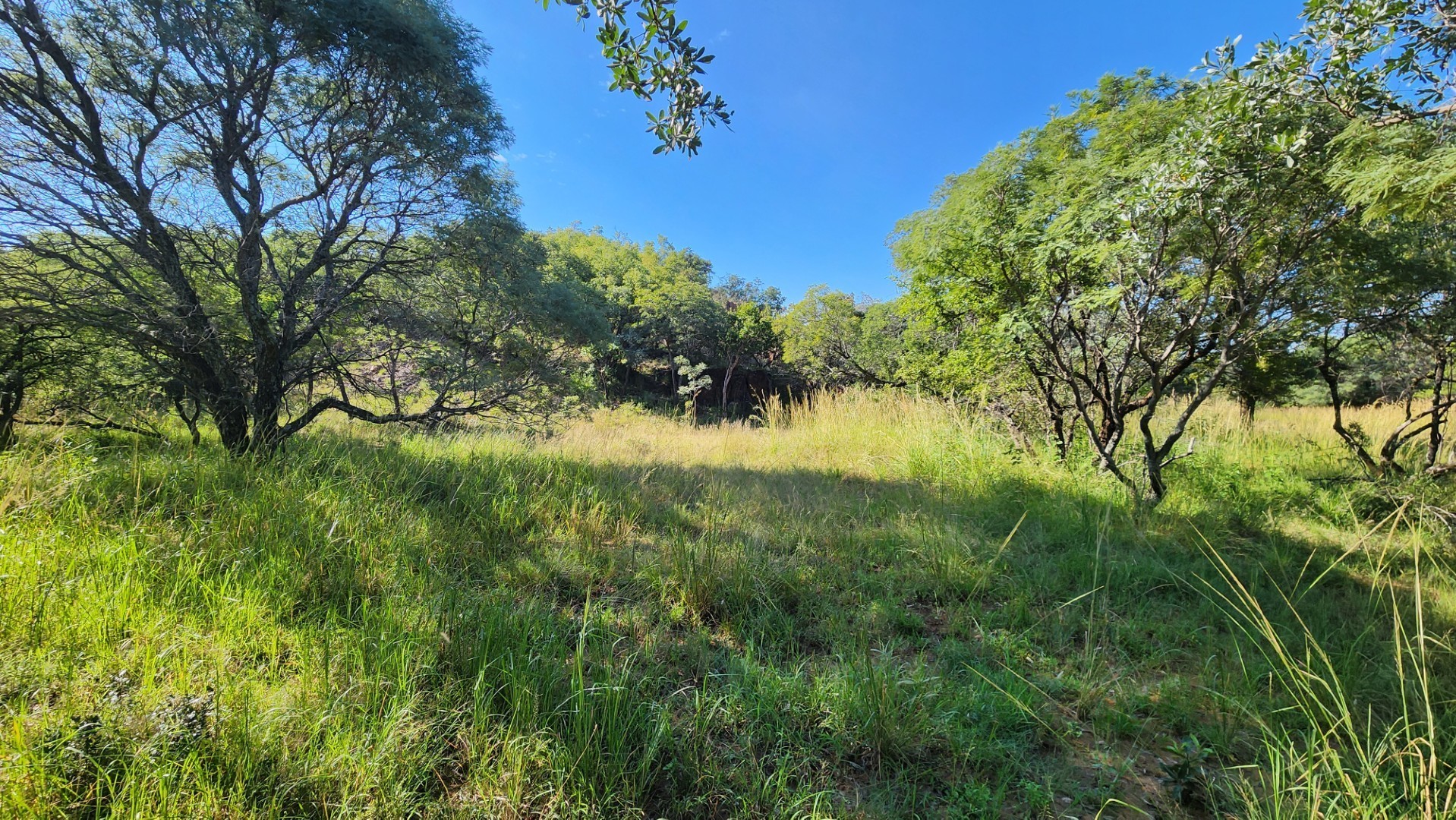 Intaba‑Indle stand - Ultra‑private, levelled with indigenous trees, snake‑proof fencing