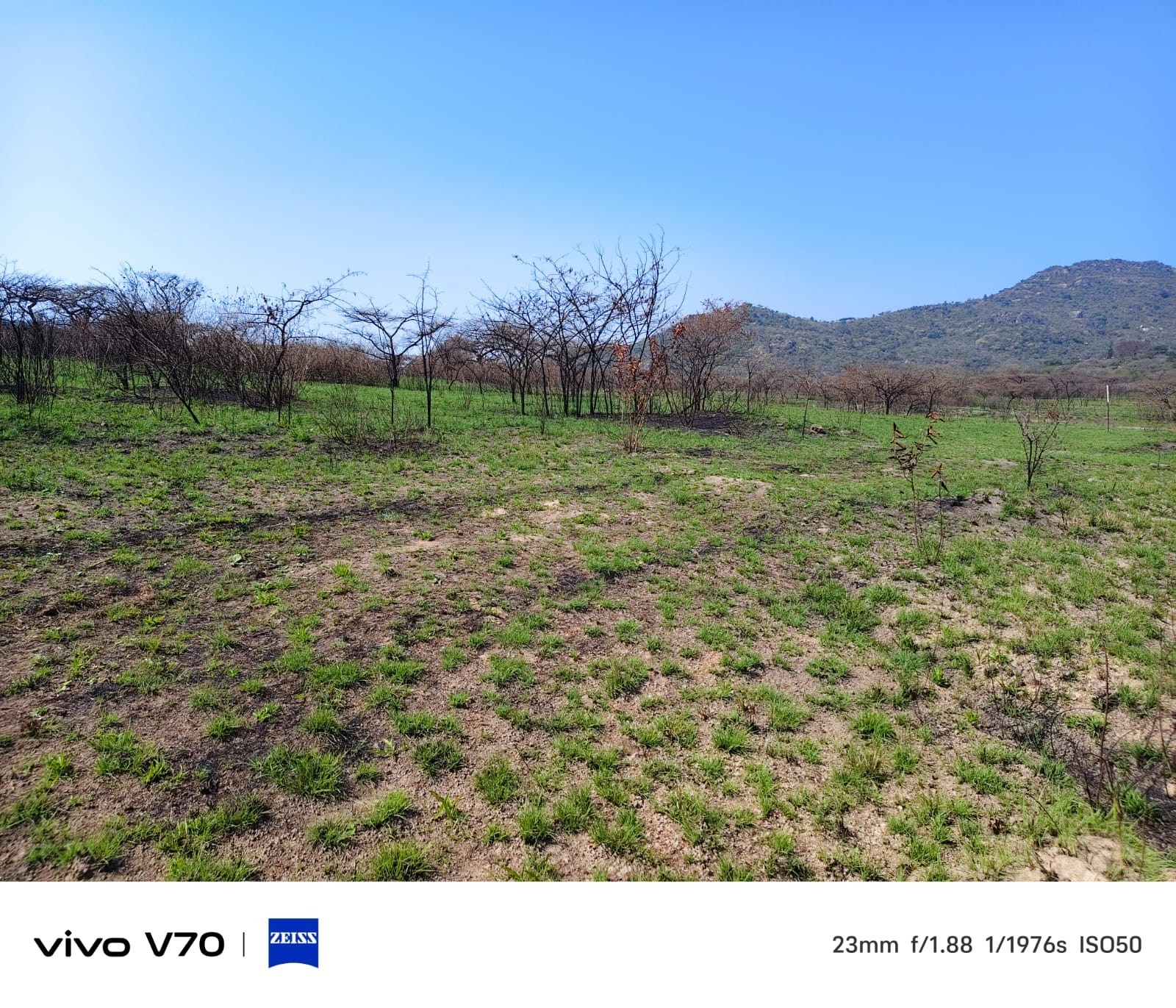 Small Holding for sale in Nelspruit, 10000 m²