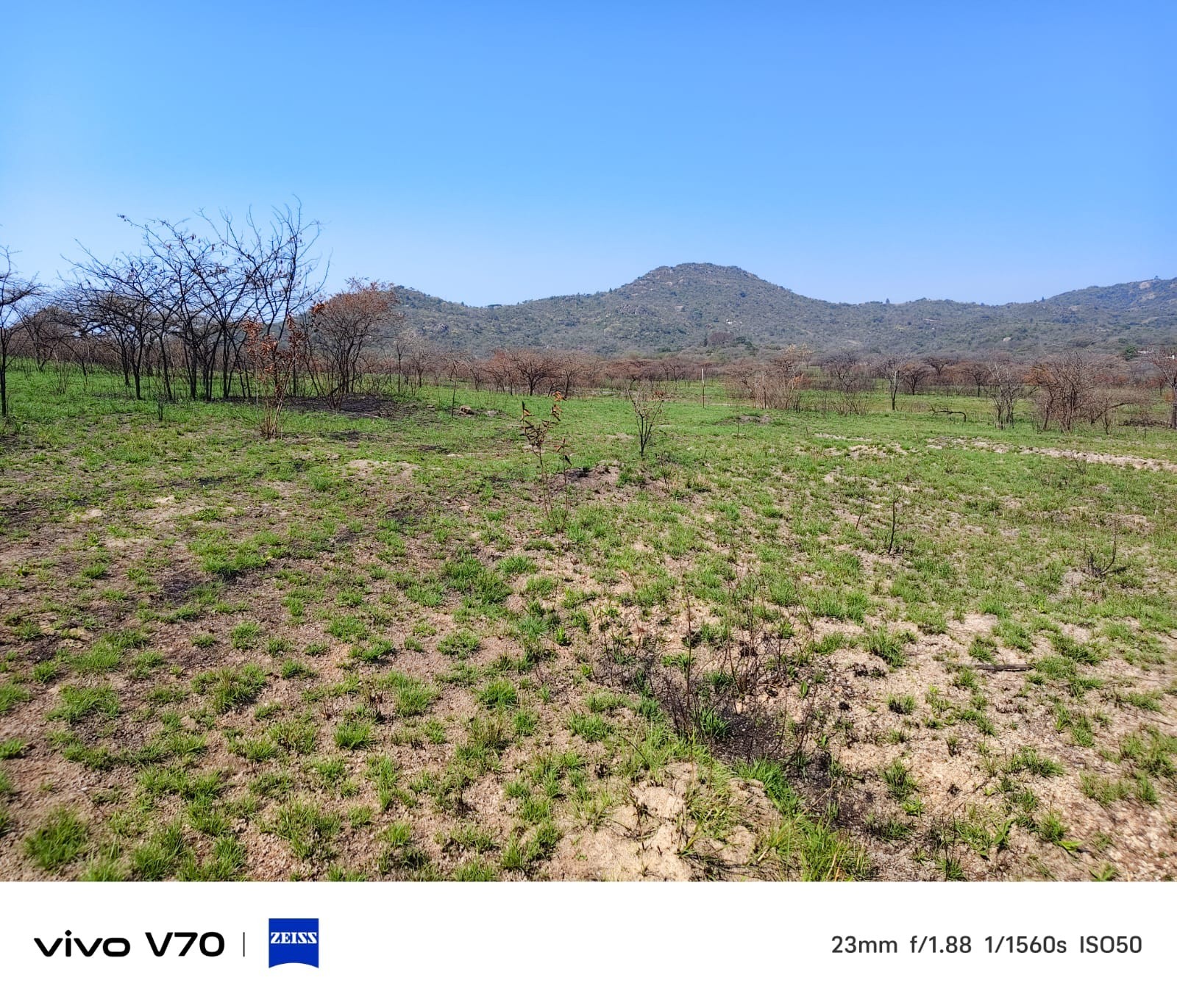 Small Holding for sale in Nelspruit, 328 Cairn road, Nelspruit, Mpumalanga, 10000 m²