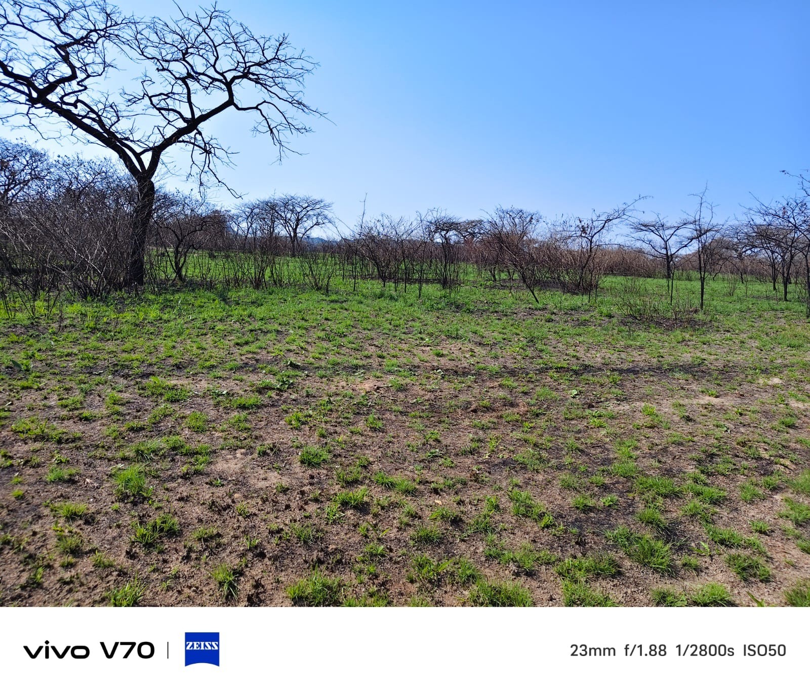 Small Holding for sale in Nelspruit, 10000 m²