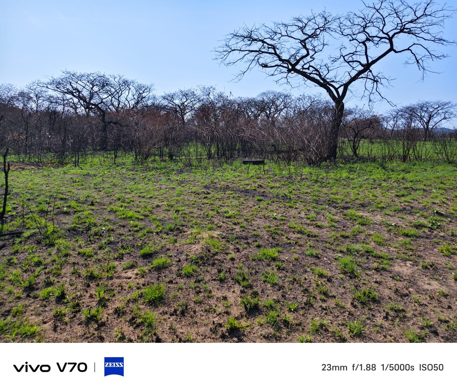 Small Holding for sale in Nelspruit, 10000 m²
