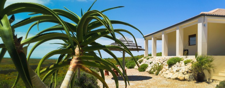 Farm for sale in Pringle Bay Rural, Pringle Bay, Hangklip, Pringle Bay Rural, Pringle Bay, Western Cape, 700 m²