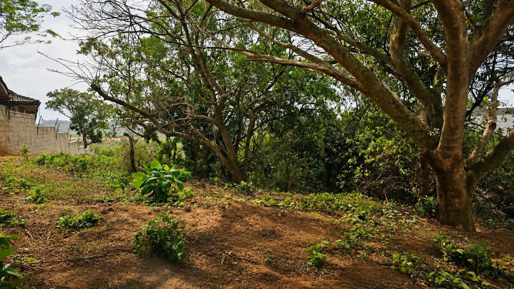 Vacant Land for sale in Ballito, KwaZulu Natal, 1053 m²