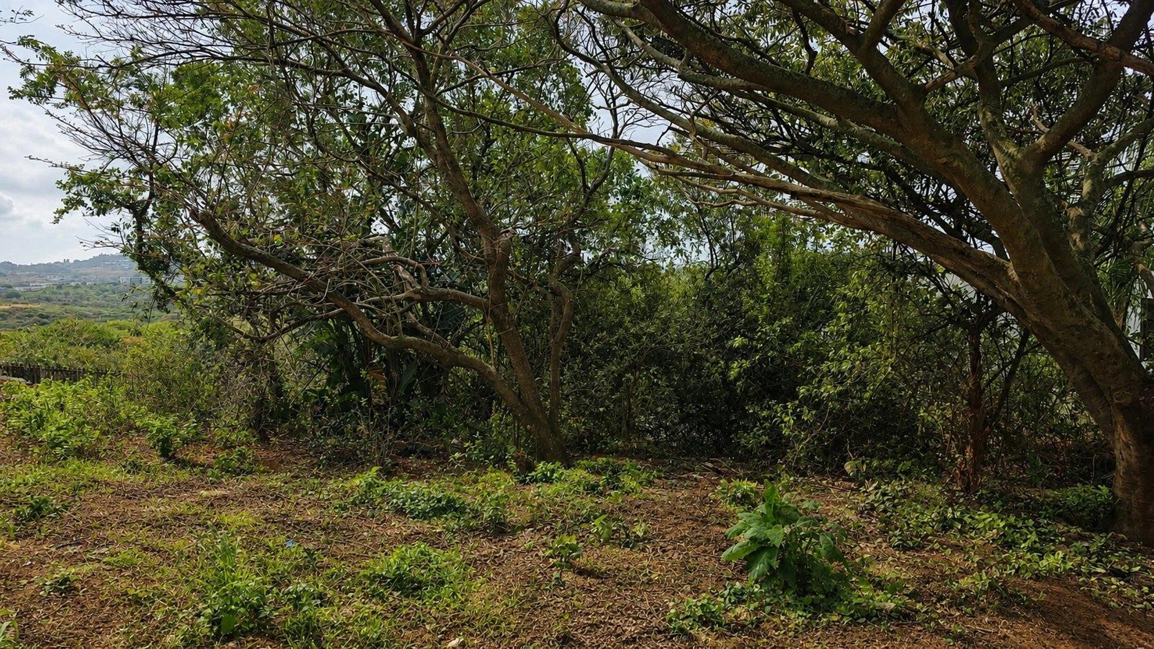 Vacant Land for sale in Ballito, KwaZulu Natal, 1053 m²