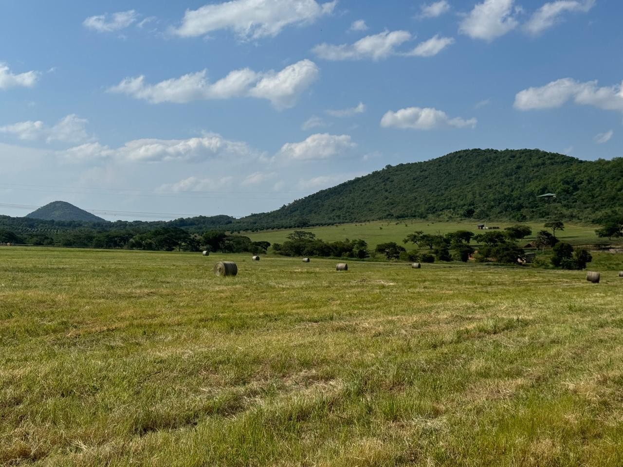Farm for sale in Barberton