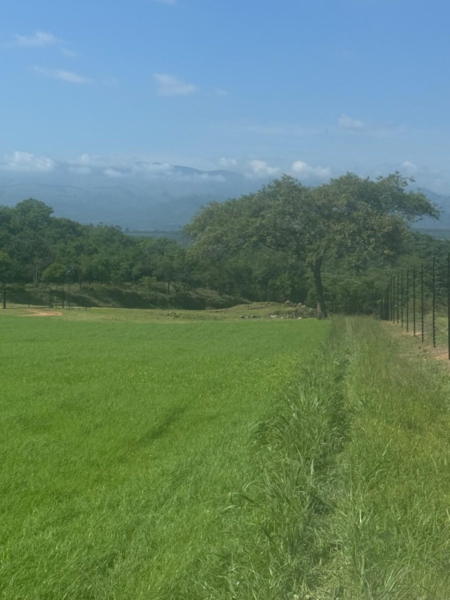 Farm for sale in Barberton