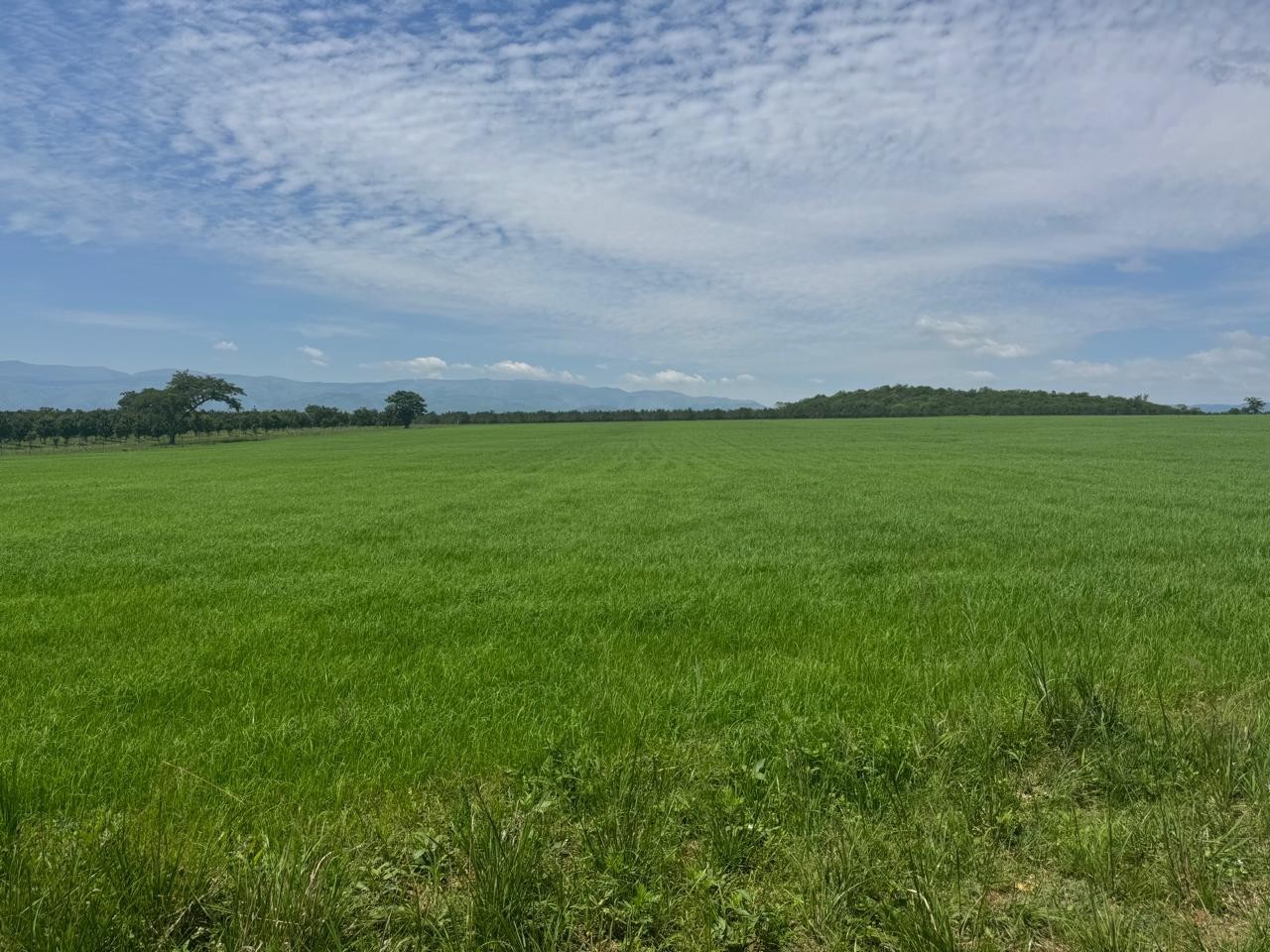 Farm for sale in Barberton