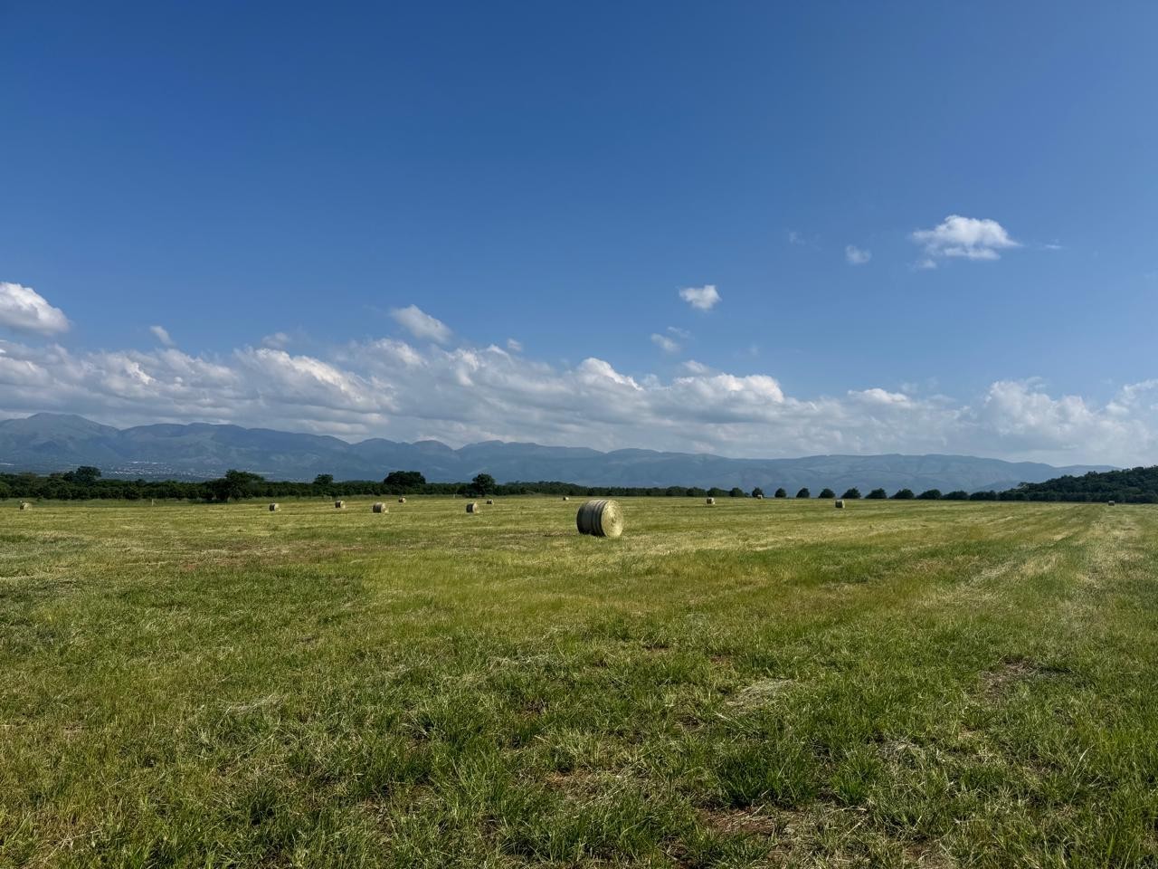 Farm for sale in Barberton