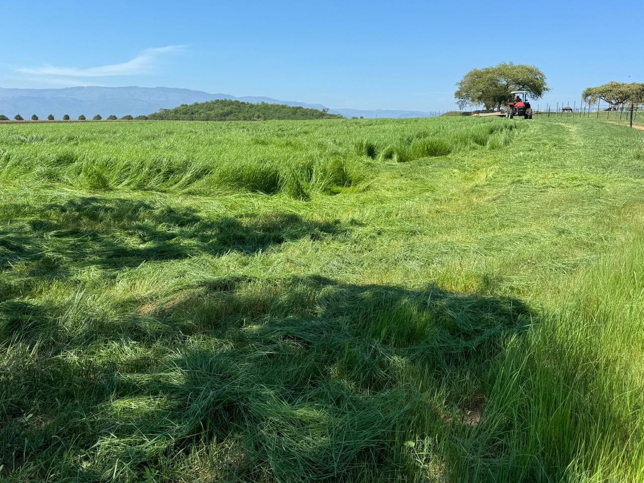 Farm for sale in Barberton