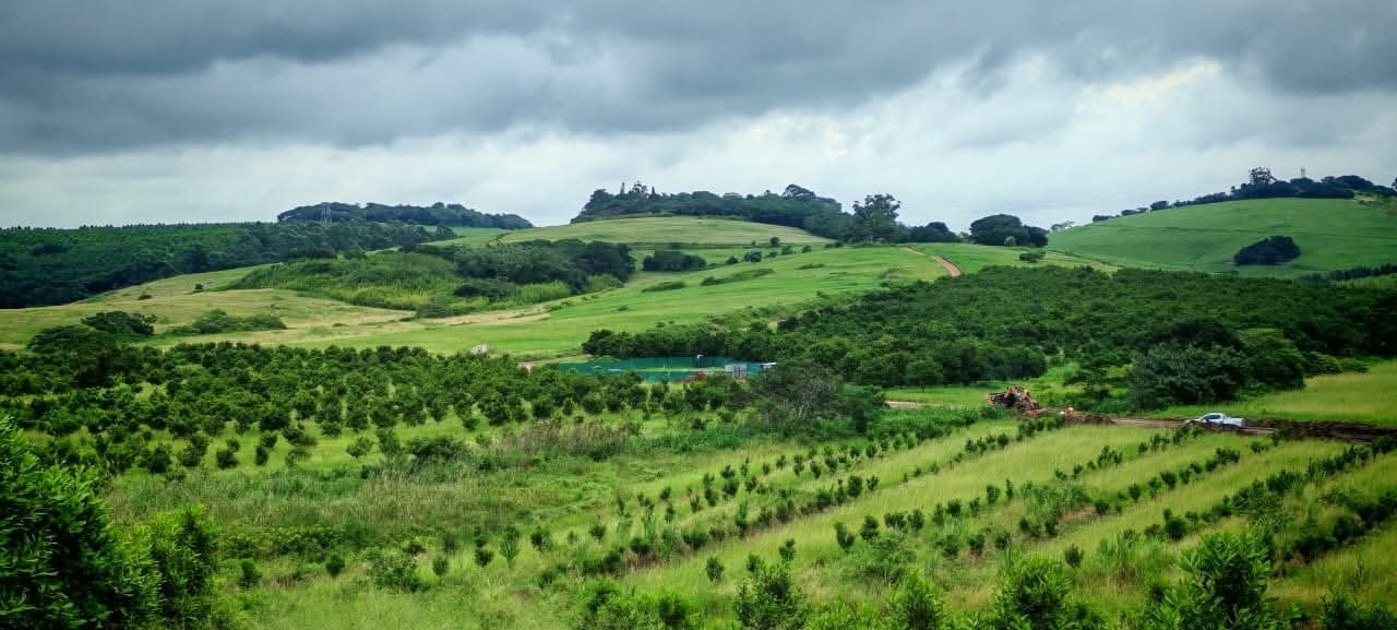 Vacant Land for sale in Ballito Rural, Ballito, KwaZulu Natal, Helmsley Country Estate, Ballito Rural, Ballito, KwaZulu Natal, 350 m²
