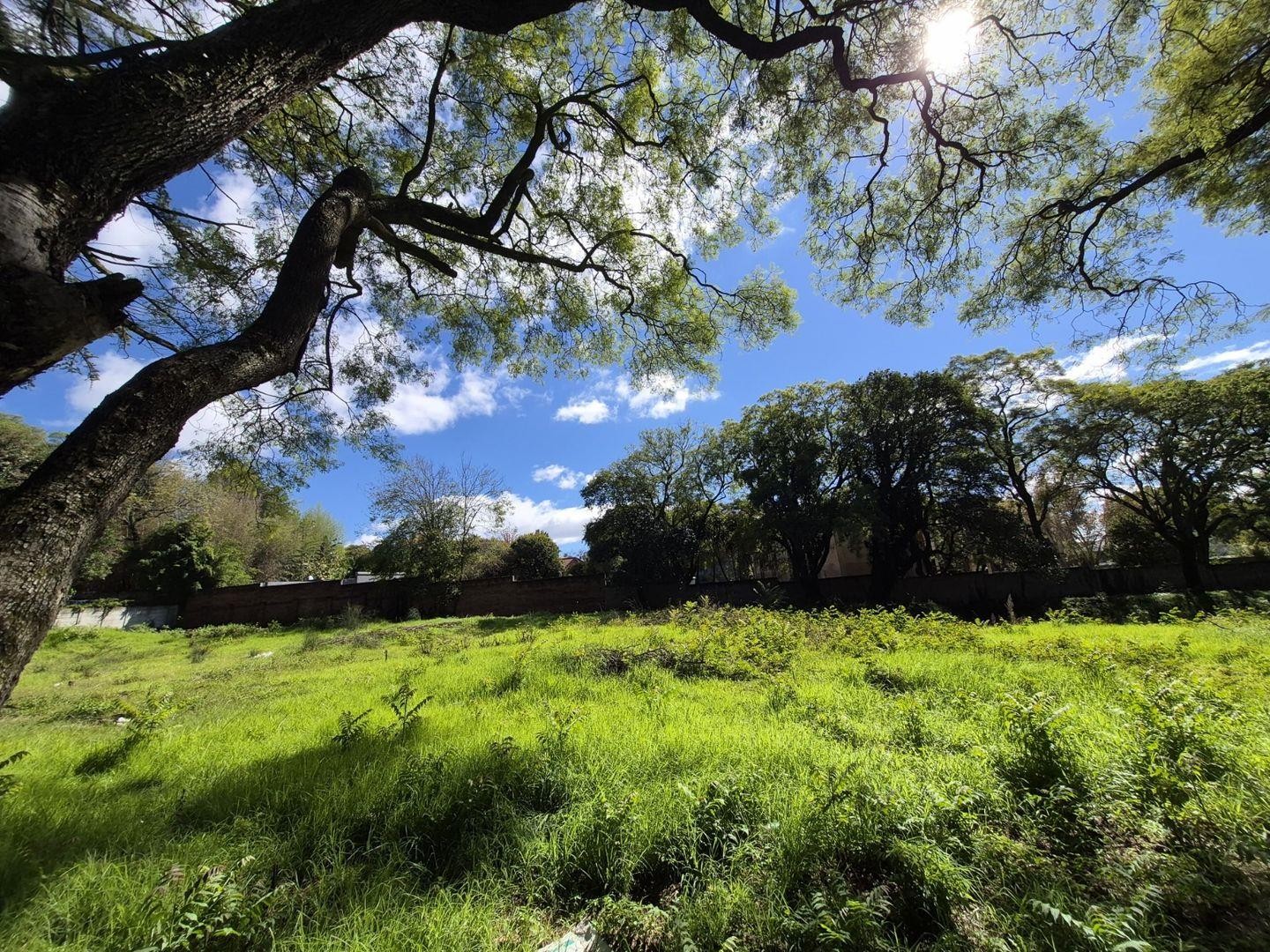 Development for sale in Melrose Estate, Johannesburg, 3843 m²