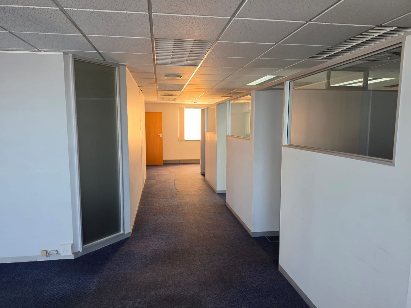 Commercial Property for rent in Musgrave, Durban, KwaZulu Natal, 263 m²