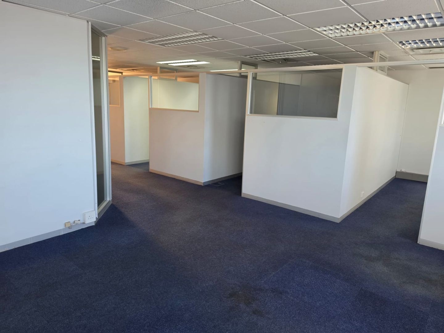Commercial Property for rent in Musgrave, Durban, KwaZulu Natal, 263 m²