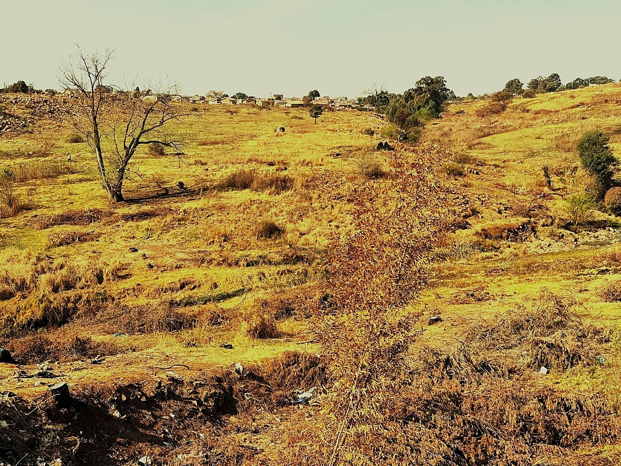 Vacant Land for sale in Krugersdorp Rural, Krugersdorp, 175 Moorcraft, Krugersdorp Rural, Krugersdorp, Gauteng, 17623 m²