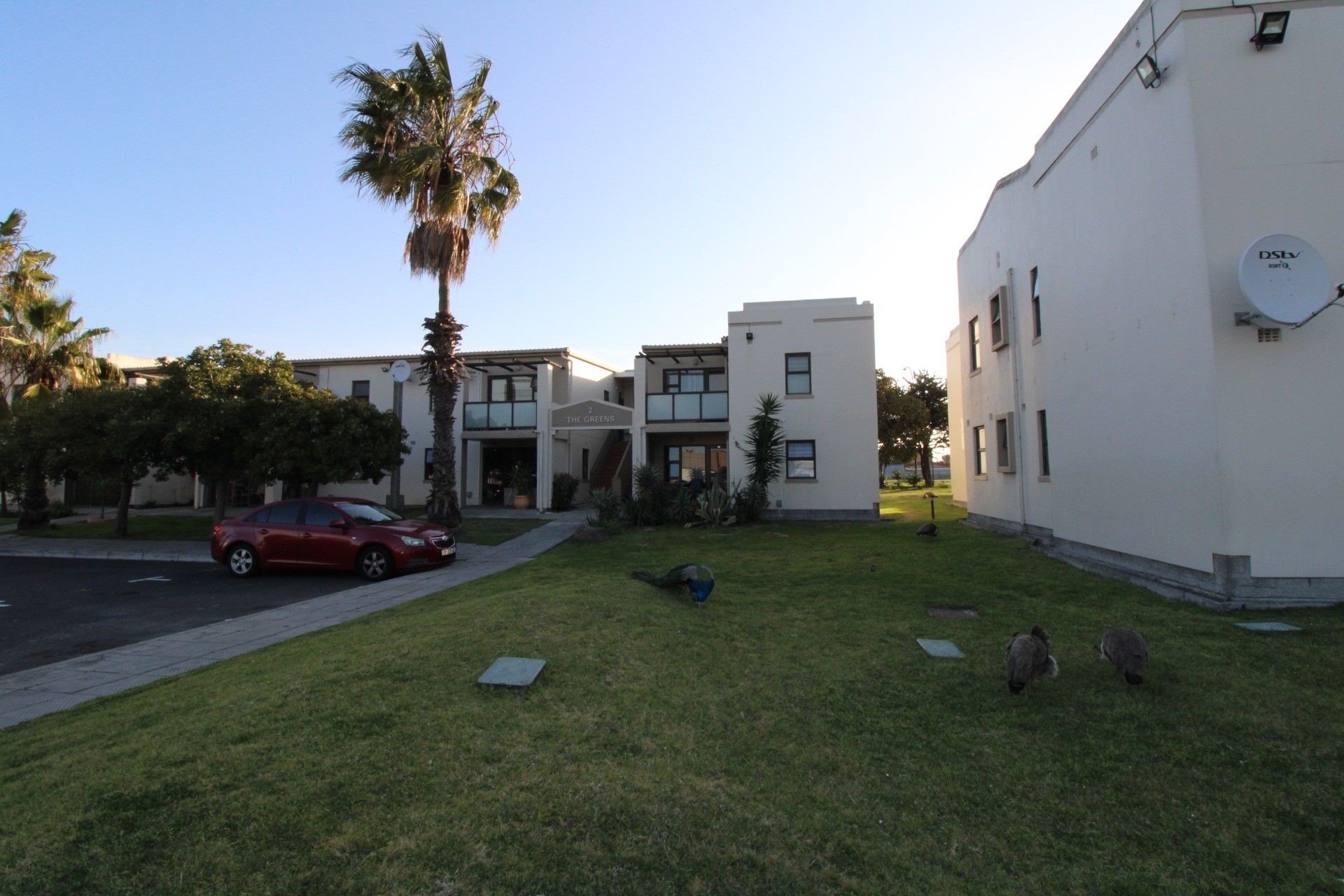 Apartment for rent in Parow, 60 m²