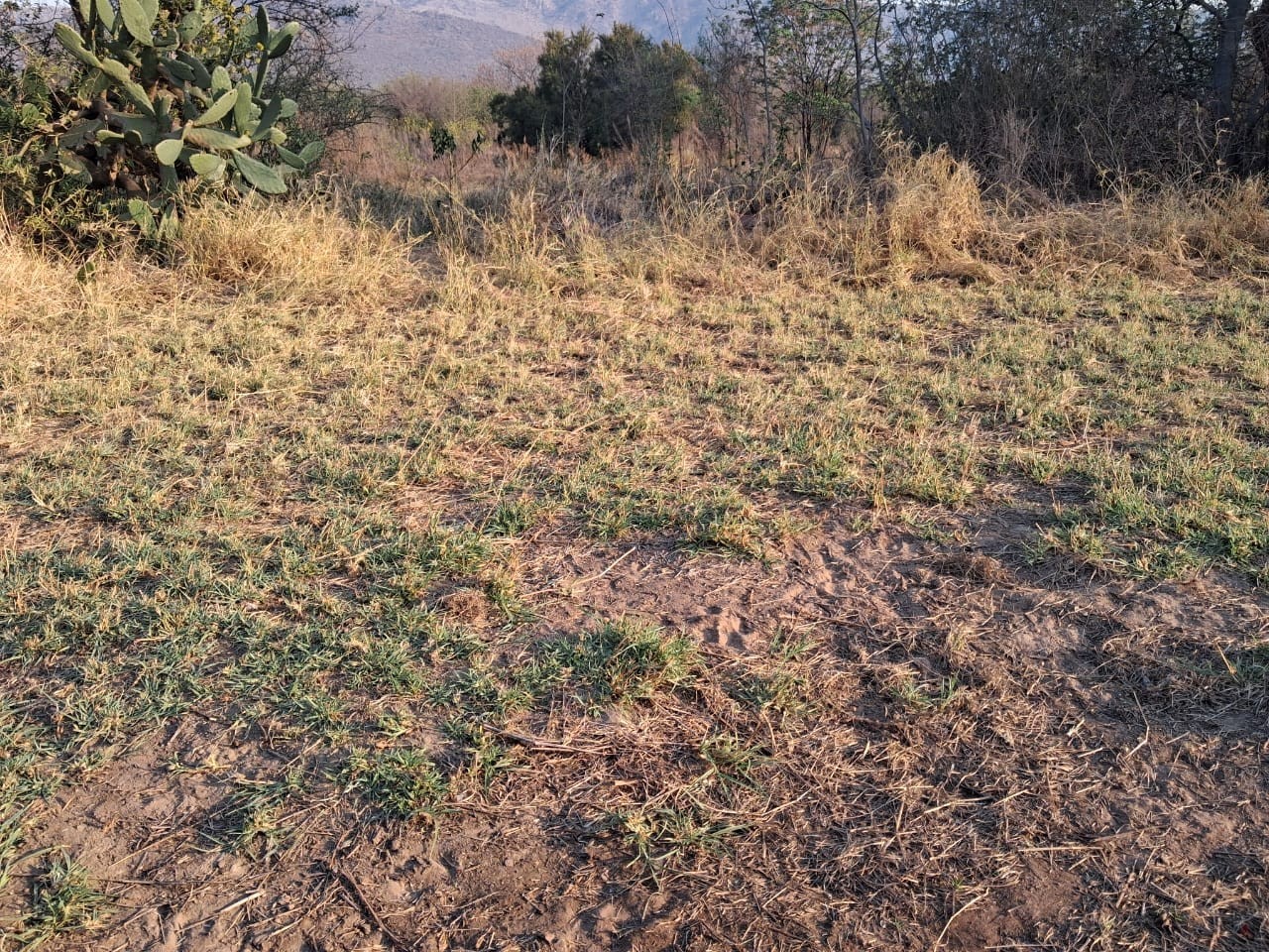 Small Holding for sale in Boschfontein AH, Rustenburg, North West, 150000 m²