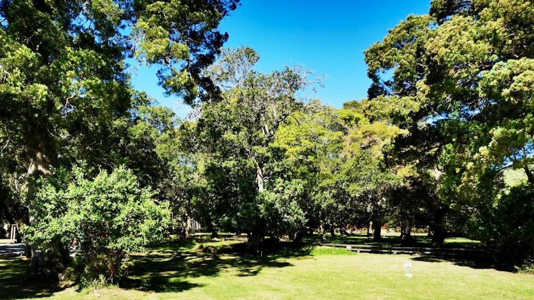 Vacant Land for sale in Brenton On Lake, Knysna, Lake Brenton estate, Brenton On Lake, Knysna, Western Cape, 535 m²