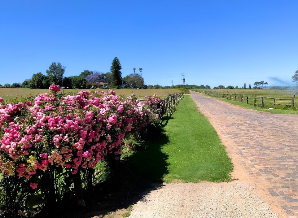 Farm for sale in Stellenbosch, 540000 m²