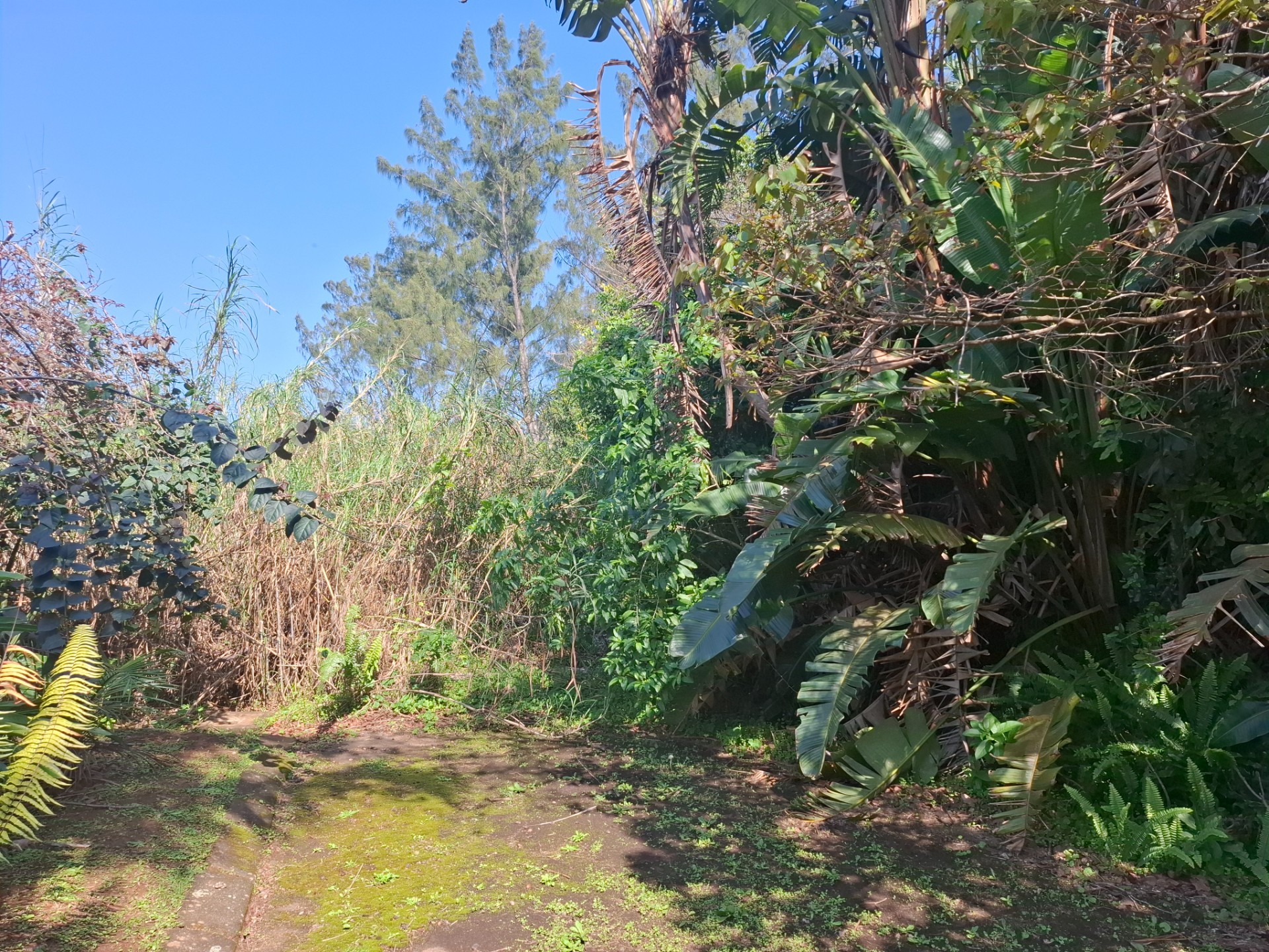 Vacant Land for sale in Ramsgate, Margate, KwaZulu Natal, 3516 m²
