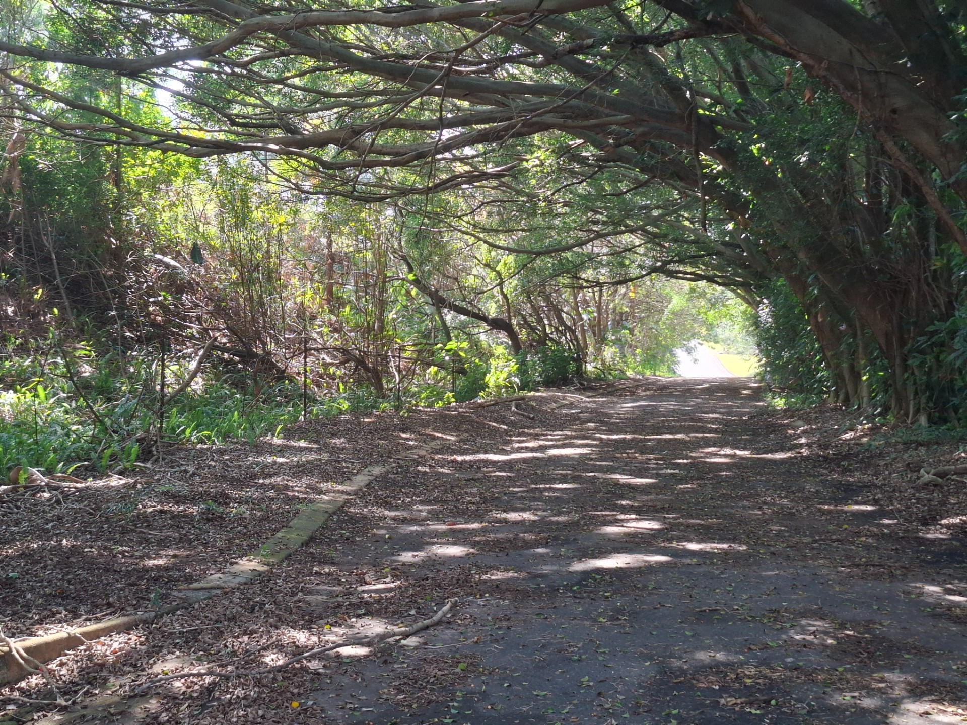Vacant Land for sale in Ramsgate, Margate, KwaZulu Natal, 3516 m²
