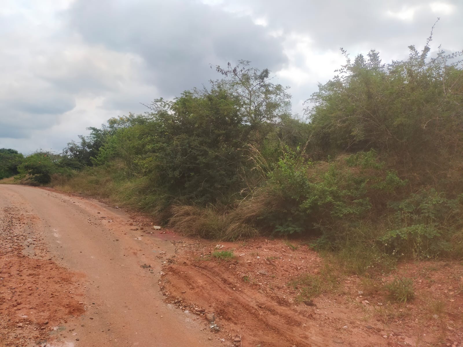 Vacant Land for sale in Thohoyandou, 600 m²