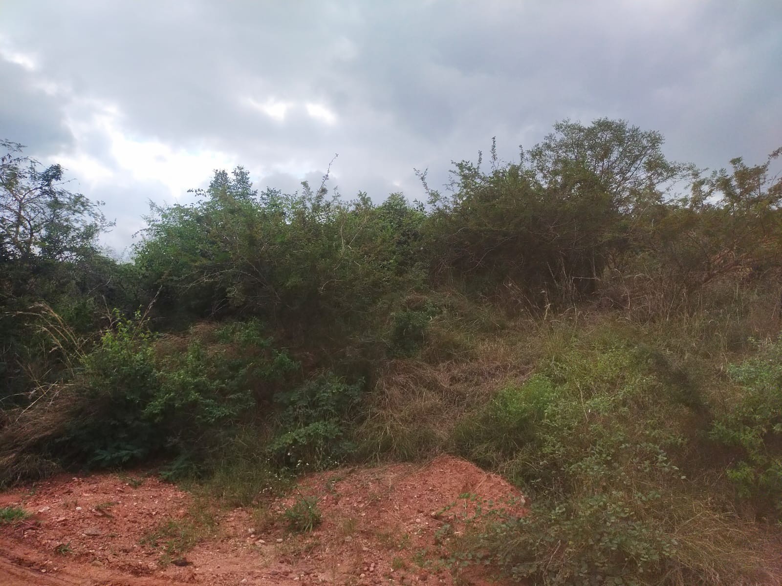 Vacant Land for sale in Thohoyandou, 600 m²