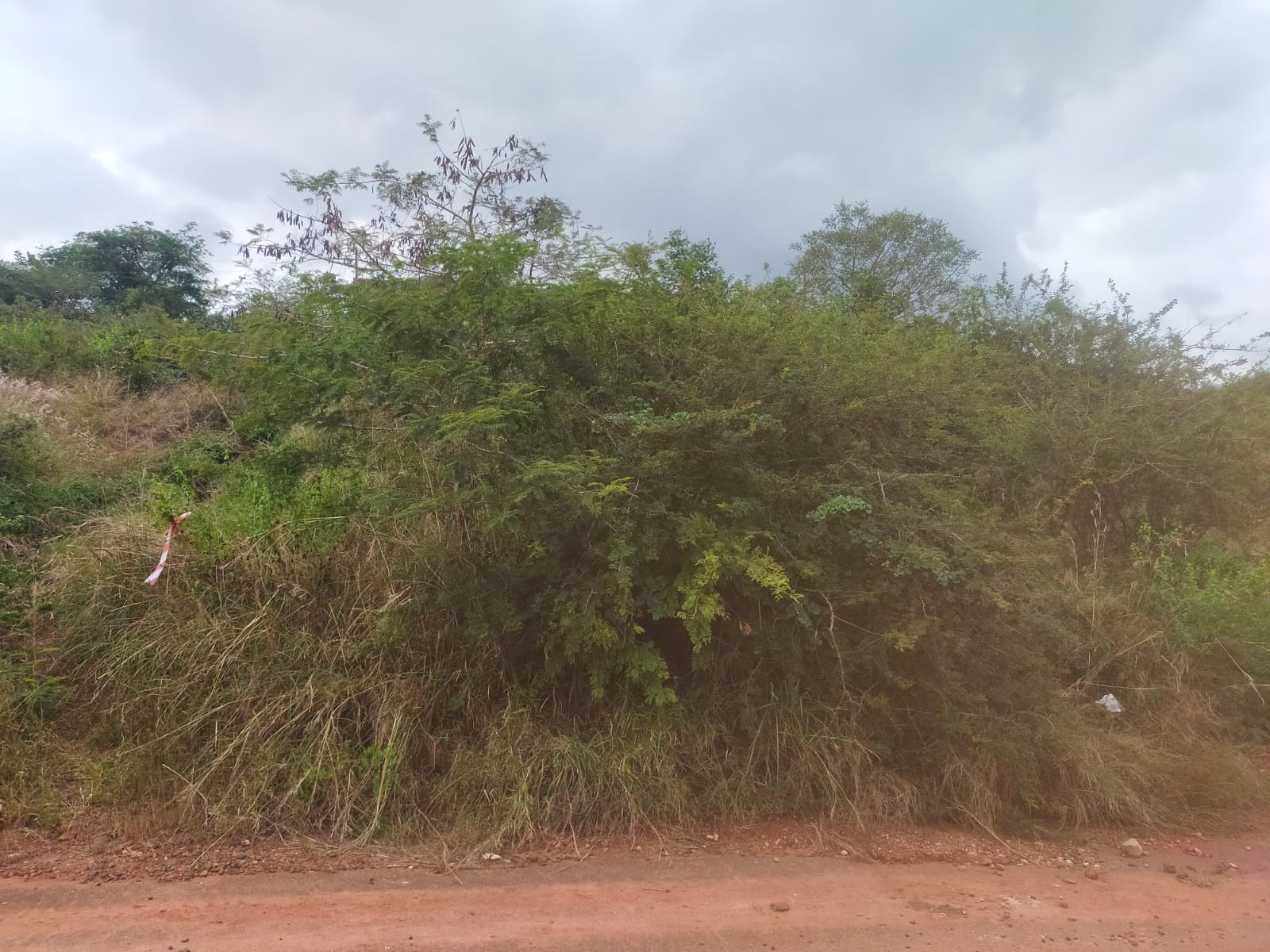 Vacant Land for sale in Thohoyandou, 600 m²