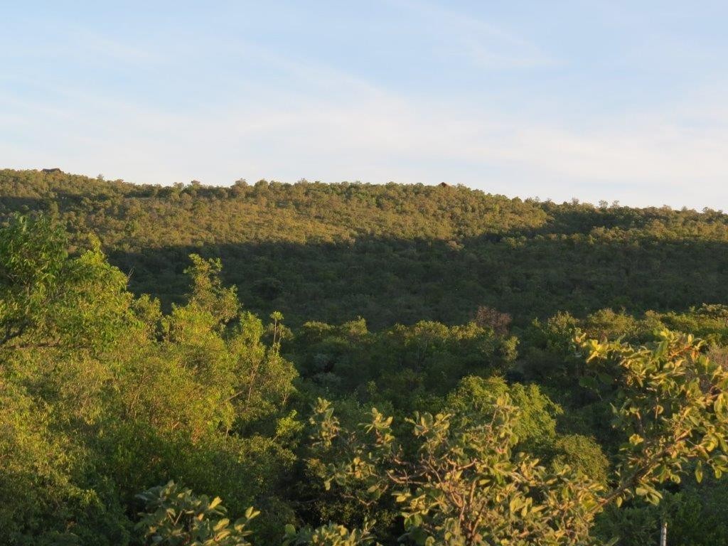 Vacant Land for sale in Zwartkloof Private Game Reserve, Bela Bela, 2500 m²