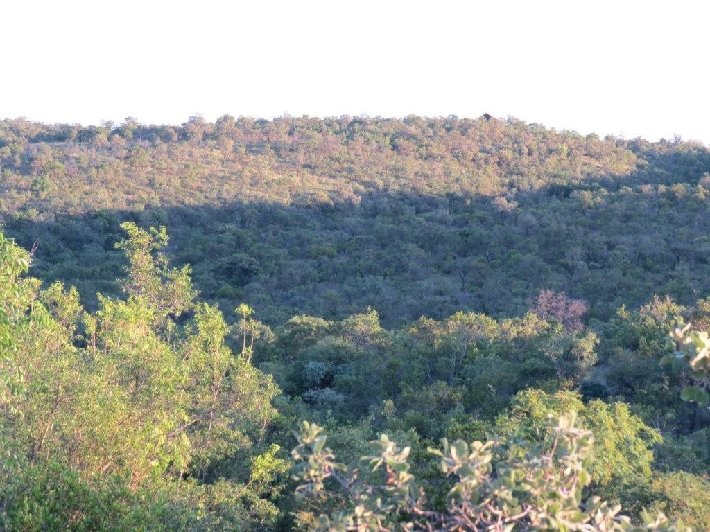 Vacant Land for sale in Zwartkloof Private Game Reserve, Bela Bela, 2500 m²
