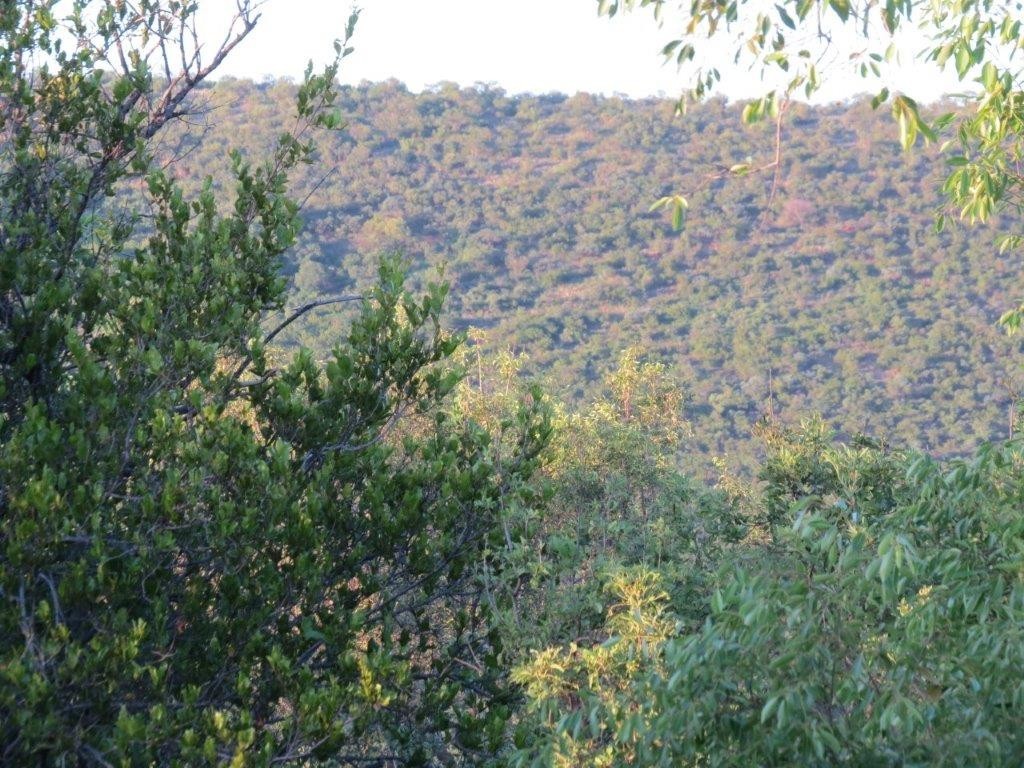 Vacant Land for sale in Zwartkloof Private Game Reserve, Bela Bela, 2500 m²