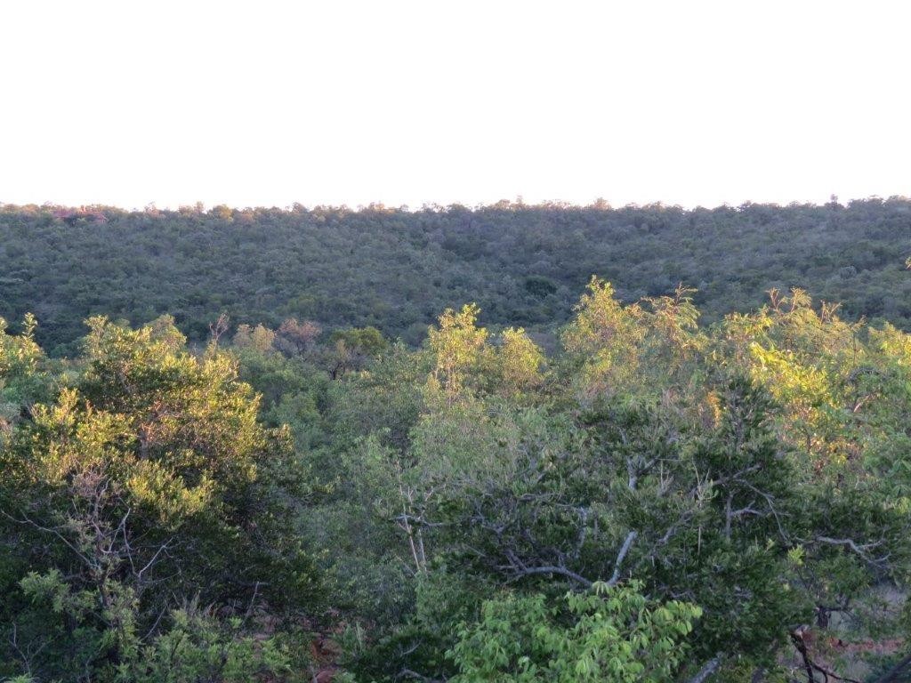 Vacant Land for sale in Zwartkloof Private Game Reserve, Bela Bela, 2500 m²
