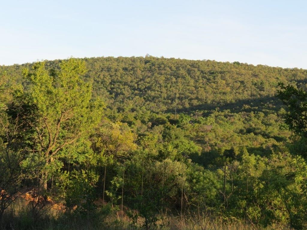 Vacant Land for sale in Zwartkloof Private Game Reserve, Bela Bela, 2500 m²